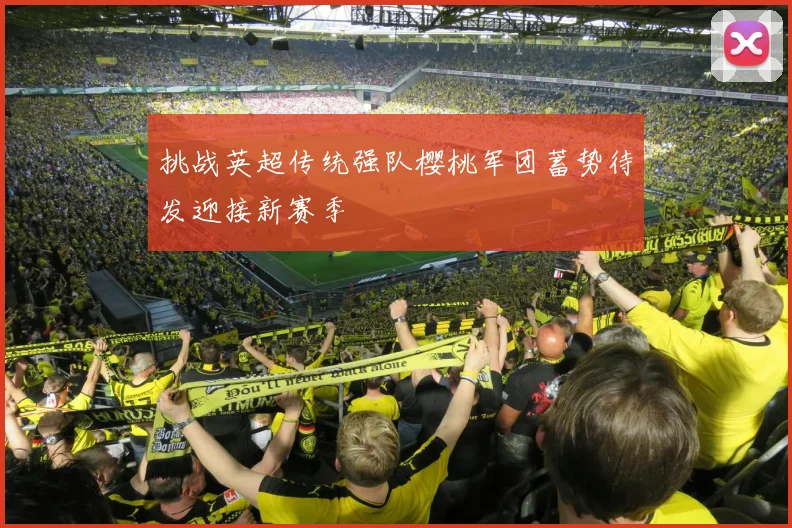 挑战英超传统强队樱桃军团蓄势待发迎接新赛季